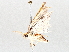  ( - BIOUG64447-G10)  @11 [ ] CreativeCommons - Attribution (2021) Centre for Biodiversity Genomics Centre for Biodiversity Genomics