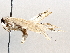  ( - BIOUG64447-H01)  @11 [ ] CreativeCommons - Attribution (2021) Centre for Biodiversity Genomics Centre for Biodiversity Genomics
