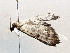  ( - BIOUG64447-H02)  @11 [ ] CreativeCommons - Attribution (2021) Centre for Biodiversity Genomics Centre for Biodiversity Genomics