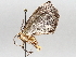  ( - BIOUG64449-D05)  @11 [ ] CreativeCommons - Attribution (2021) Centre for Biodiversity Genomics Centre for Biodiversity Genomics