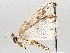  ( - BIOUG64449-D06)  @11 [ ] CreativeCommons - Attribution (2021) Centre for Biodiversity Genomics Centre for Biodiversity Genomics