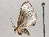  ( - BIOUG64449-D10)  @11 [ ] CreativeCommons - Attribution (2021) Centre for Biodiversity Genomics Centre for Biodiversity Genomics