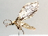  ( - BIOUG64449-E01)  @11 [ ] CreativeCommons - Attribution (2021) Centre for Biodiversity Genomics Centre for Biodiversity Genomics