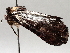  ( - BIOUG64449-E10)  @11 [ ] CreativeCommons - Attribution (2021) Centre for Biodiversity Genomics Centre for Biodiversity Genomics