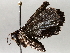  ( - BIOUG64449-E11)  @11 [ ] CreativeCommons - Attribution (2021) Centre for Biodiversity Genomics Centre for Biodiversity Genomics