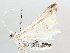  ( - BIOUG64449-F02)  @11 [ ] CreativeCommons - Attribution (2021) Centre for Biodiversity Genomics Centre for Biodiversity Genomics
