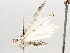  ( - BIOUG64449-F03)  @11 [ ] CreativeCommons - Attribution (2021) Centre for Biodiversity Genomics Centre for Biodiversity Genomics