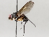  ( - BIOUG64449-F06)  @11 [ ] CreativeCommons - Attribution (2021) Centre for Biodiversity Genomics Centre for Biodiversity Genomics