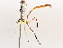  ( - BIOUG64449-H03)  @11 [ ] CreativeCommons - Attribution (2021) Centre for Biodiversity Genomics Centre for Biodiversity Genomics