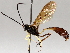  ( - BIOUG64450-B08)  @11 [ ] CreativeCommons - Attribution (2021) Centre for Biodiversity Genomics Centre for Biodiversity Genomics