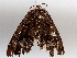  ( - BIOUG64450-F03)  @11 [ ] CreativeCommons - Attribution (2021) Centre for Biodiversity Genomics Centre for Biodiversity Genomics