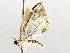  ( - BIOUG64450-G05)  @11 [ ] CreativeCommons - Attribution (2021) Centre for Biodiversity Genomics Centre for Biodiversity Genomics