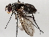  ( - BIOUG64450-G09)  @11 [ ] CreativeCommons - Attribution (2021) Centre for Biodiversity Genomics Centre for Biodiversity Genomics
