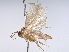  ( - BIOUG70358-E11)  @11 [ ] CreativeCommons - Attribution (2022) CBG Photography Group Centre for Biodiversity Genomics
