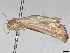  ( - BIOUG70359-F12)  @11 [ ] CreativeCommons - Attribution (2048) CBG Photography Group Centre for Biodiversity Genomics