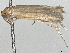  ( - BIOUG70359-G07)  @11 [ ] CreativeCommons - Attribution (2049) CBG Photography Group Centre for Biodiversity Genomics