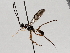  ( - BIOUG71236-D11)  @11 [ ] CreativeCommons - Attribution (2021) Centre for Biodiversity Genomics Centre for Biodiversity Genomics
