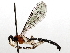 ( - BIOUG71236-H01)  @11 [ ] CreativeCommons - Attribution (2021) Centre for Biodiversity Genomics Centre for Biodiversity Genomics