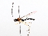  ( - BIOUG71236-H07)  @11 [ ] CreativeCommons - Attribution (2021) Centre for Biodiversity Genomics Centre for Biodiversity Genomics
