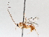  ( - BIOUG71237-C03)  @11 [ ] CreativeCommons - Attribution (2021) Centre for Biodiversity Genomics Centre for Biodiversity Genomics