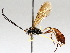  ( - BIOUG71237-E05)  @11 [ ] CreativeCommons - Attribution (2021) Centre for Biodiversity Genomics Centre for Biodiversity Genomics