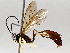  ( - BIOUG71237-E09)  @11 [ ] CreativeCommons - Attribution (2021) Centre for Biodiversity Genomics Centre for Biodiversity Genomics