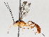  ( - BIOUG71237-F07)  @11 [ ] CreativeCommons - Attribution (2021) Centre for Biodiversity Genomics Centre for Biodiversity Genomics
