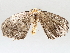  ( - BIOUG71239-B06)  @11 [ ] CreativeCommons - Attribution (2021) Centre for Biodiversity Genomics Centre for Biodiversity Genomics