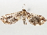  ( - BIOUG71239-G10)  @11 [ ] CreativeCommons - Attribution (2021) Centre for Biodiversity Genomics Centre for Biodiversity Genomics