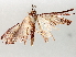  (Eois Malaise2438 - BIOUG71239-G12)  @11 [ ] CreativeCommons - Attribution (2021) Centre for Biodiversity Genomics Centre for Biodiversity Genomics