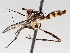  ( - BIOUG71240-C06)  @11 [ ] CreativeCommons - Attribution (2021) Centre for Biodiversity Genomics Centre for Biodiversity Genomics