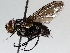 ( - BIOUG71240-D02)  @11 [ ] CreativeCommons - Attribution (2021) Centre for Biodiversity Genomics Centre for Biodiversity Genomics