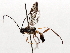  ( - BIOUG71240-F10)  @11 [ ] CreativeCommons - Attribution (2021) Centre for Biodiversity Genomics Centre for Biodiversity Genomics