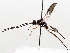 ( - BIOUG71240-G08)  @11 [ ] CreativeCommons - Attribution (2021) Centre for Biodiversity Genomics Centre for Biodiversity Genomics
