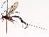  ( - BIOUG71241-A01)  @11 [ ] CreativeCommons - Attribution (2021) Centre for Biodiversity Genomics Centre for Biodiversity Genomics