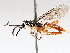  ( - BIOUG71241-B04)  @11 [ ] CreativeCommons - Attribution (2021) Centre for Biodiversity Genomics Centre for Biodiversity Genomics