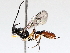  ( - BIOUG71242-C02)  @11 [ ] CreativeCommons - Attribution (2021) Centre for Biodiversity Genomics Centre for Biodiversity Genomics