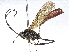  ( - BIOUG62721-G12)  @11 [ ] CreativeCommons - Attribution (2022) CBG Photography Group Centre for Biodiversity Genomics