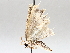  ( - BIOUG64000-D10)  @11 [ ] CreativeCommons - Attribution (2021) CBG Photography Group Centre for Biodiversity Genomics