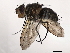  ( - BIOUG64000-E04)  @11 [ ] CreativeCommons - Attribution (2021) CBG Photography Group Centre for Biodiversity Genomics