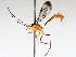  ( - BIOUG71243-E07)  @11 [ ] CreativeCommons - Attribution (2021) Centre for Biodiversity Genomics Centre for Biodiversity Genomics