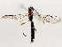  ( - BIOUG71243-G03)  @11 [ ] CreativeCommons - Attribution (2021) Centre for Biodiversity Genomics Centre for Biodiversity Genomics