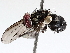  ( - BIOUG71244-B02)  @11 [ ] CreativeCommons - Attribution (2021) Centre for Biodiversity Genomics Centre for Biodiversity Genomics