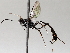  ( - BIOUG71245-F12)  @11 [ ] CreativeCommons - Attribution (2021) Centre for Biodiversity Genomics Centre for Biodiversity Genomics