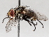  ( - BIOUG71246-F09)  @11 [ ] CreativeCommons - Attribution (2021) Centre for Biodiversity Genomics Centre for Biodiversity Genomics