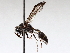 ( - BIOUG71248-E10)  @11 [ ] CreativeCommons - Attribution (2021) CBG Photography Group Centre for Biodiversity Genomics