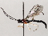  ( - BIOUG71248-G12)  @11 [ ] CreativeCommons - Attribution (2021) CBG Photography Group Centre for Biodiversity Genomics
