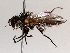  ( - BIOUG71247-F02)  @11 [ ] CreativeCommons - Attribution (2021) CBG Photography Group Centre for Biodiversity Genomics