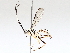  ( - BIOUG72905-C02)  @11 [ ] CreativeCommons - Attribution (2021) CBG Photography Group Centre for Biodiversity Genomics