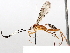  ( - BIOUG72905-G11)  @11 [ ] CreativeCommons - Attribution (2021) CBG Photography Group Centre for Biodiversity Genomics